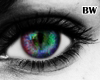 Rainbow Unisex Eyes