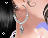 Shell Earrings