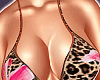 Bikini Set PNY25-04