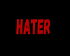 Hater Mask