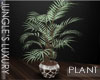 ~LDs~JL Plant