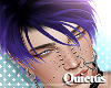 Raven Night - Q