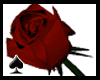 [LD]* Rose