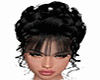 diamond black bun LESLEY
