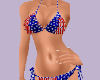 (V) American Swim V1