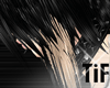 [TiF] MiYAGI Tails 6