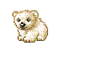 Polar Bear Cub Waving
