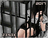 ☎ On the Jail Avi