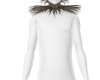 Radiant plume