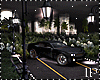 Bundle Night City Car