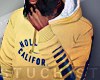 $. Hollister Hoodie