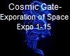 Cosmic Gate-Exploration