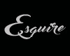 ST Saying  Esquire Silve