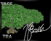 ♰ Tree Native