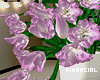 Aesthetic Flowers