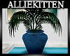 (AK)Kallithea plant2