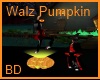 [BD] Walz Pumpkin