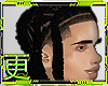 Jacob Locks