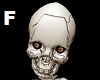 HEAD Skeleton F