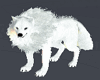 White Wolf  2pose