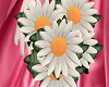 daisy bouquet