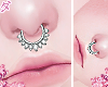 d. septum cristal plat