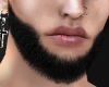 Asteri beard