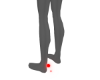 Heart Animation Red