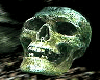 skull head