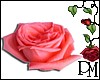 [PBM] Pink Rose Sticker