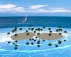 HOT ~ SUNSET ISLAND