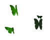 [SNS] Green Butterflies