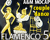 FLAMENCO 5: Couple Dance