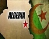 hidjab algeria