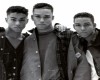 3T-I Need You