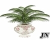 J*Shabby Potted Plant
