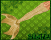 )S( Mermaid Tail v5