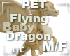 R|C Baby Dino Cozy M/F
