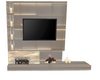 Fire Place /TV