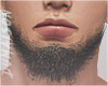 Habibi Beard