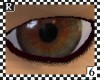 Beautiful Eyes by Regis