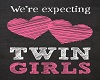 Its Twin Girls