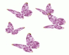 Moganite Butterflies