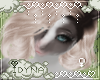 Silver Rain - Myra