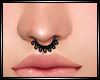 Dp Any Septum F