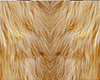 `Femo Furr<Add-On>
