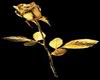 Golden rose 1