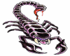 6v3| Scorpion Tattoo