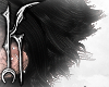 ╋━ BLACK+