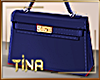 🍁 NavyBlue Handbag